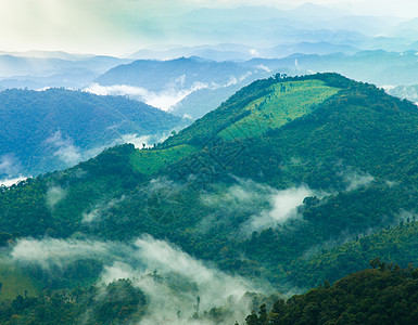 山区森林和山林图片