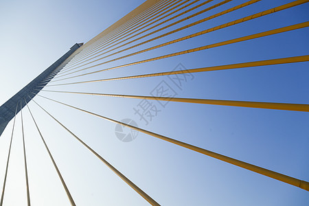 领带是桥体的结构图片
