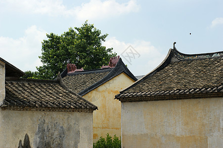 建筑物勃起结构岗楼寺庙拱门建筑玻璃构造大厦建筑学图片