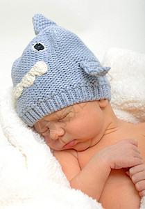 睡在鲨鱼帽子上的婴儿图片