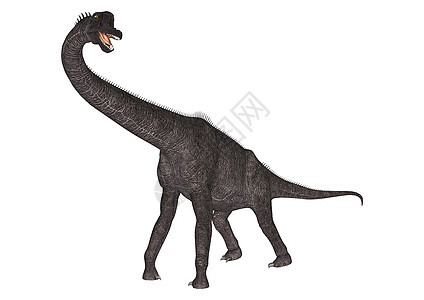 恐龙蓝清九龙生物爬虫荒野恐龙插图古生物学怪物手臂动物野生动物图片