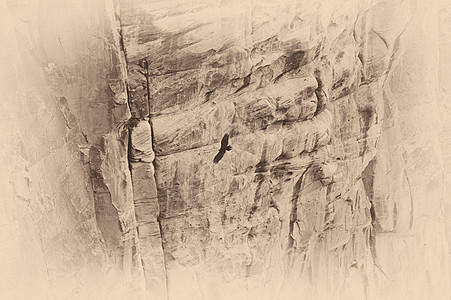 鸟飞过大峡谷飞行摄影旅行目的地风景岩石动物场景旅游主题图片