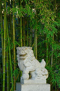 中国石狮狮子艺术白色竹子花园植物文化背景