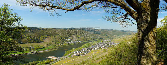 从Moselle河道看Masselle山谷图片