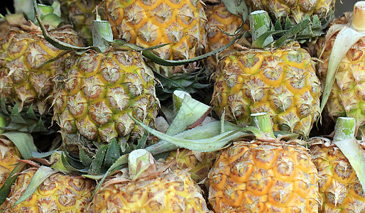 水果市场菠萝肉质农业农场蔬菜果汁营养黄色饮食绿色食物图片