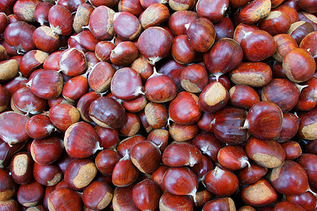 栗子皮季节水果小吃乡村食物季节性皮肤板栗棕色宏观图片