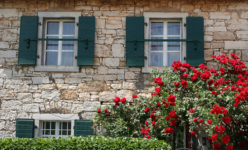 克罗地亚伊斯特里亚典型的乡村别墅不动产小屋旅行庭院入口建筑住宅村庄绿化农场图片