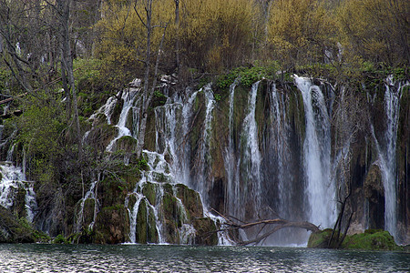 克罗地亚普利维茨湖国家公园森林树叶蓝色石灰石吸引力旅游国家山脉生育力公园图片