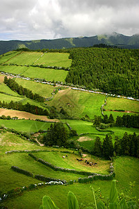 字段地面干草地平线晴天孤独农场草地蓝色植物群农村图片