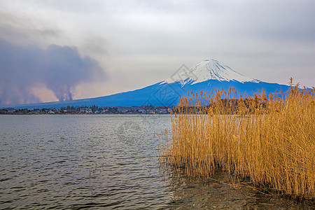 藤藤山观光天空植物旅游节日火山日落樱花公吨冰镇图片