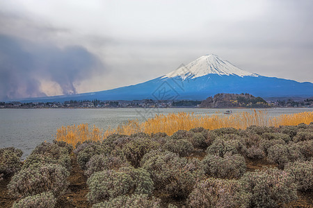 藤藤山天空观光阳光樱花旅游火山植物公吨冰镇节日图片