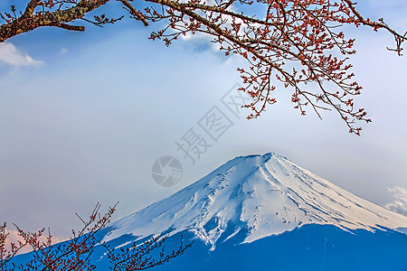 藤藤山节日日落冰镇旅游火山樱花天空植物阳光观光图片