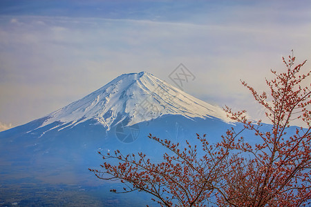 藤藤山樱花旅游冰镇日落节日观光天空火山公吨阳光图片