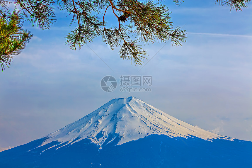 藤藤山樱花节日天空冰镇观光火山日落旅游阳光公吨图片