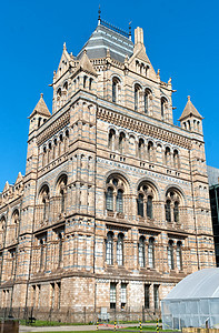 伦敦的自然历史博物馆文化首都展览城市历史性旅游窗户建筑学入口建筑图片