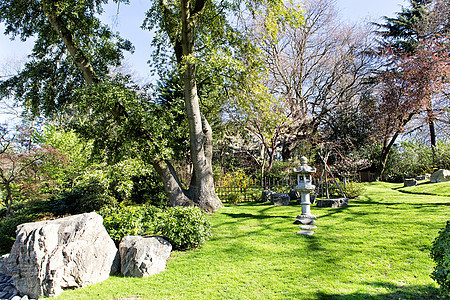 春季公园的视图场景风景园林叶子座位季节绿化植物木头图片
