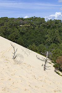 Pyla 南皮拉脚步天空沙漠闲暇旅游游客地标海滩旅行冒险图片