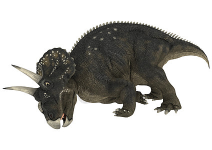 恐龙糖尿病侏罗纪生物时代绿色动物白色博物馆牛角插图捕食者图片