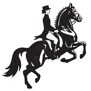衣着骑兵展示竞赛舞步优雅运动母马插图黑色女士运动员图片