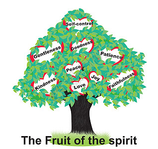 精神的果实喜悦水果控制材料叶子教会插图绘画信仰宗教图片