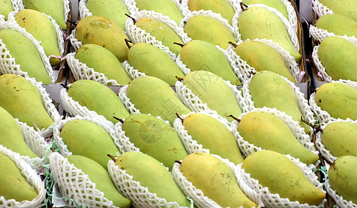 芒果食物杂货店饮食水果绿色农业营养市场黄色肉质图片