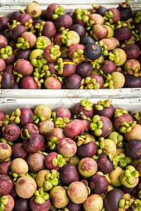 果园收割后新鲜芒果饮食水果紫色市场摊位山竹生产热带食物果汁图片