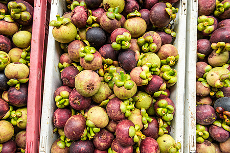 果园收割后新鲜芒果食物紫色摊位热带市场果汁营养饮食水果山竹图片