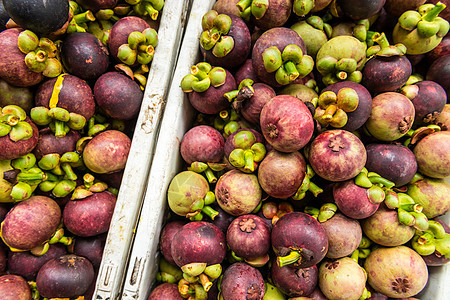果园收割后新鲜芒果紫色山竹果汁园艺饮食情调异国市场生产水果图片