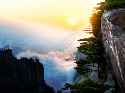 一月你好风景黄山山国家旅行种子日落松树公园岩石游客蓝色历史性背景