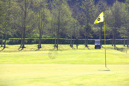 高尔夫球旗在航道上旗帜美化闲暇草地绿色场地森林游戏公园运动图片