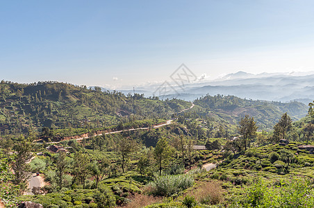 斯里兰卡的山地景观森林蓝色岩石纪念碑爬坡热带草地石头晴天历史性图片