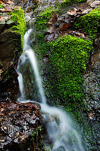 小型瀑水细节环境植物风景苔藓运动假期公园旅行岩石溪流图片