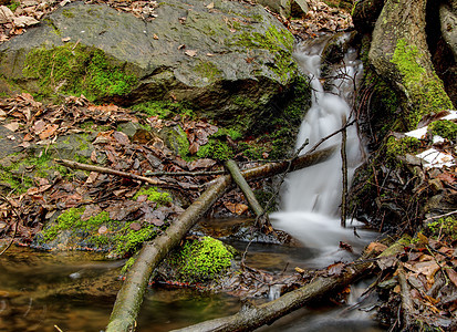 串流溪流叶子岩石荒野天堂环境假期公园运动木头图片