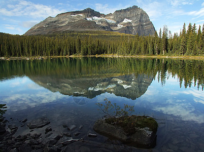 加拿大不列颠哥伦比亚省约霍国家公园奥哈拉湖公园风景冰川国家高原高山蓝色松树天空森林图片
