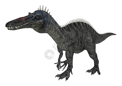 恐龙 Suchomimus爬行动物鳄鱼蜥蜴白色插图野生动物荒野古生物学时代爬虫图片