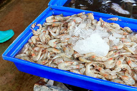 虾动物食物盘子旅行小吃海鲜橙子美食玻璃柠檬图片