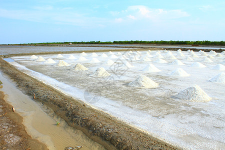 盐地订金少校热带食物反射农场工作场地天空长方形图片