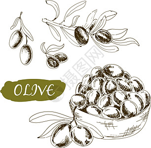 Olive 一套插图图片