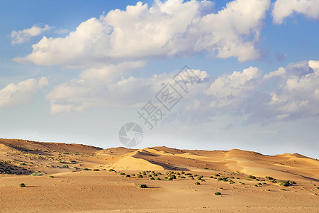 瓦希巴阿曼沙漠蓝色植物灌木丛天空旱谷绿色沙丘假期旅行衬套图片