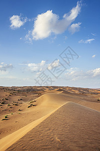 瓦希巴阿曼沙漠假期旅行灌木丛衬套天空蓝色旱谷沙丘植物图片