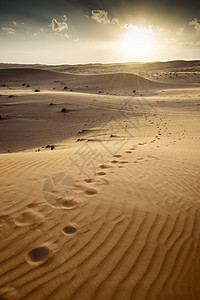 日落沙漠瓦希巴阿曼天空情绪沙丘旅行太阳植物衬套灌木丛假期旱谷图片