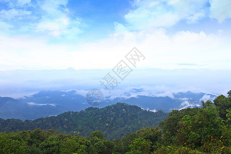 雾海以森林为前景 这里位于开河中场景全景环境季节橙子木头天空蓝色农村公园图片