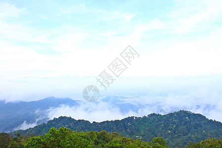 雾海以森林为前景 这里位于开河中季节蓝色公园旅行天空全景松树国家薄雾橙子图片