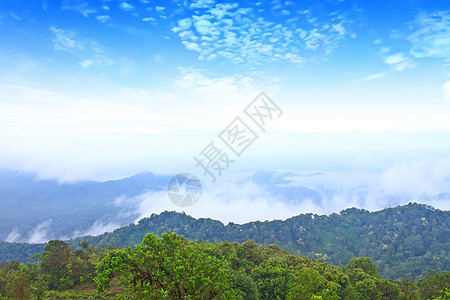 雾海以森林为前景 这里位于开河中薄雾松树全景蓝色天气场景环境农村天空橙子图片
