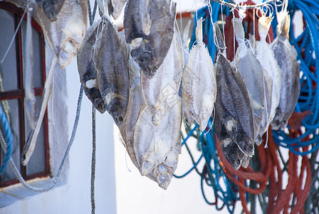 股鱼配额干鱼晴天皮带钓鱼鱼种美味空气天蓝色食物图片
