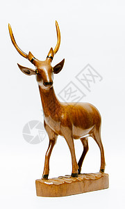 雕刻木鹿身体雕像雕塑艺术哺乳动物风格装饰乐趣手工玩具图片