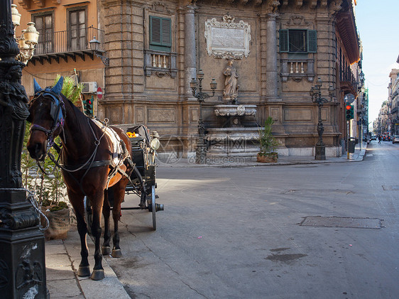 巴勒莫广场的Buggy历史性雕像传统风格运输城市地标建筑文化角落图片