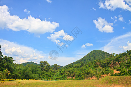 绿林和蓝天空背景树木天空林地荒野精神辐射植物宗教森林空地图片