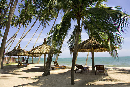 太阳日美内针对蓝海的太阳休息室和保护伞旅行旅游椅子海岸目的地阳伞热带天空假期文化图片