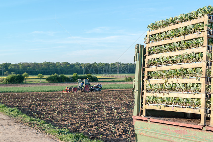 农业拖拉机播种沙拉栽培农民生产季节工作植物农村机器农田车轮图片